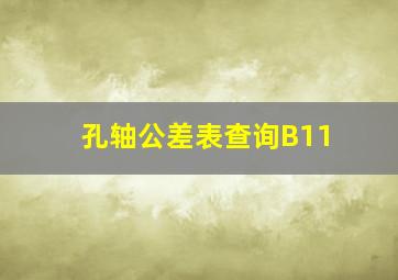 孔轴公差表查询B11