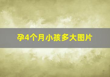 孕4个月小孩多大图片