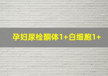 孕妇尿检酮体1+白细胞1+