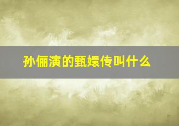 孙俪演的甄嬛传叫什么