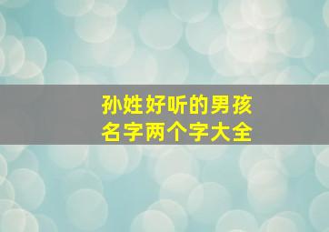 孙姓好听的男孩名字两个字大全