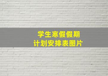 学生寒假假期计划安排表图片