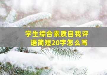 学生综合素质自我评语简短20字怎么写