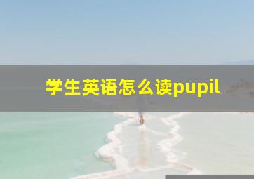 学生英语怎么读pupil