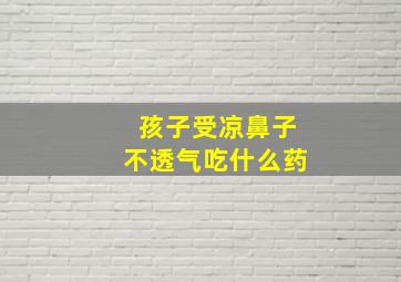 孩子受凉鼻子不透气吃什么药