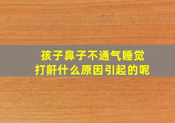 孩子鼻子不通气睡觉打鼾什么原因引起的呢