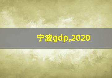 宁波gdp,2020