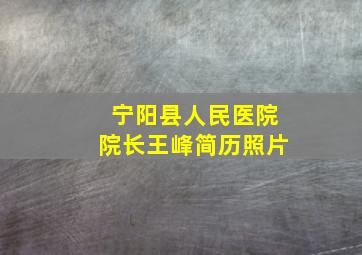 宁阳县人民医院院长王峰简历照片