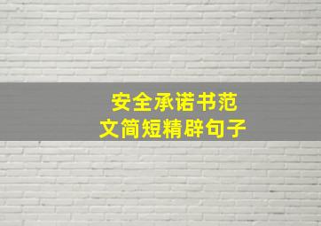 安全承诺书范文简短精辟句子