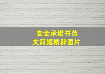 安全承诺书范文简短精辟图片