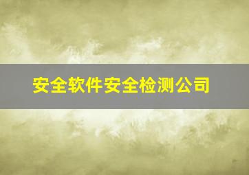 安全软件安全检测公司