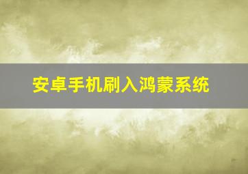 安卓手机刷入鸿蒙系统