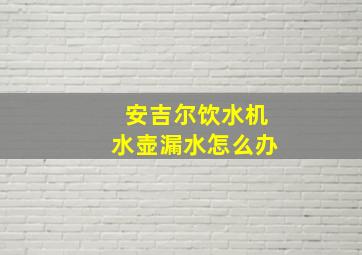 安吉尔饮水机水壶漏水怎么办