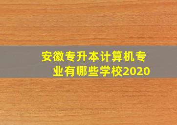 安徽专升本计算机专业有哪些学校2020