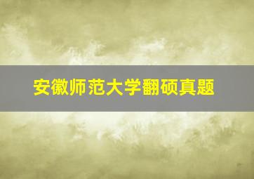 安徽师范大学翻硕真题