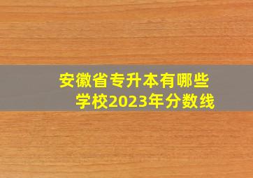 安徽省专升本有哪些学校2023年分数线