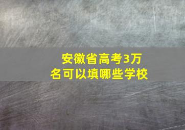 安徽省高考3万名可以填哪些学校