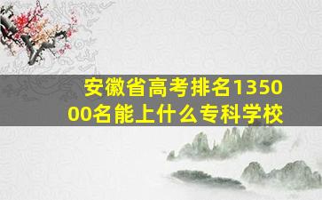 安徽省高考排名135000名能上什么专科学校