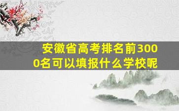 安徽省高考排名前3000名可以填报什么学校呢