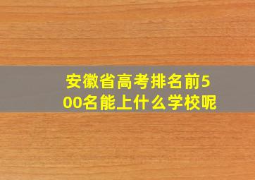 安徽省高考排名前500名能上什么学校呢