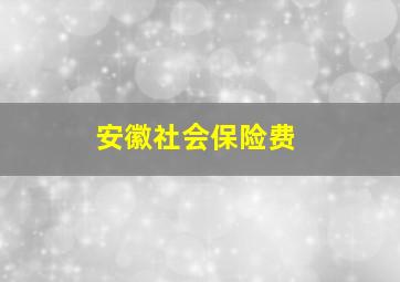 安徽社会保险费