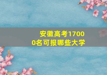 安徽高考17000名可报哪些大学