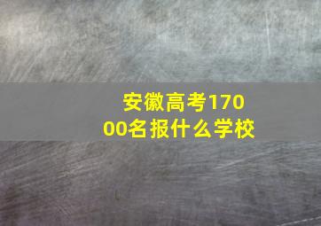 安徽高考17000名报什么学校