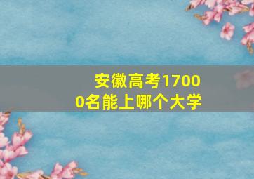 安徽高考17000名能上哪个大学