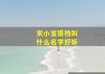 宋小宝搭档叫什么名字好听