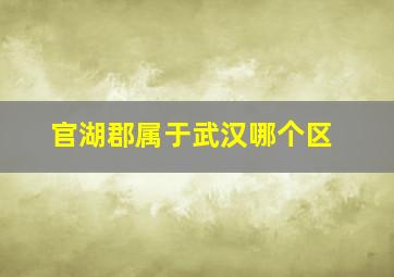 官湖郡属于武汉哪个区