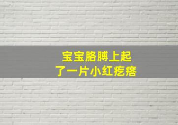 宝宝胳膊上起了一片小红疙瘩