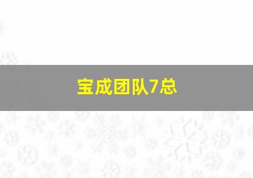 宝成团队7总