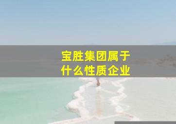 宝胜集团属于什么性质企业