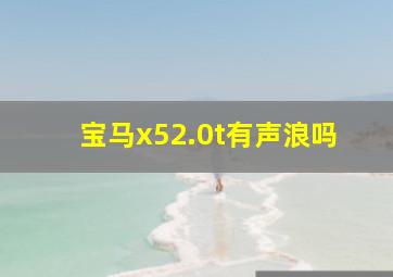 宝马x52.0t有声浪吗