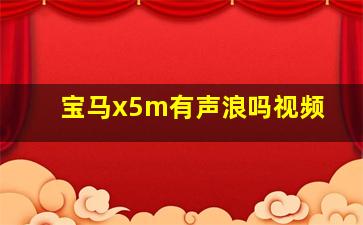 宝马x5m有声浪吗视频