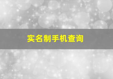 实名制手机查询