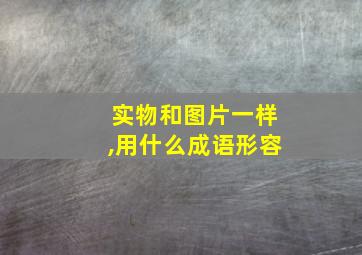 实物和图片一样,用什么成语形容