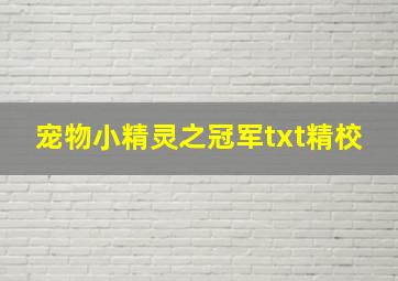 宠物小精灵之冠军txt精校