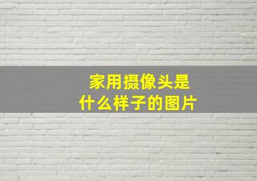 家用摄像头是什么样子的图片