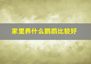 家里养什么鹦鹉比较好