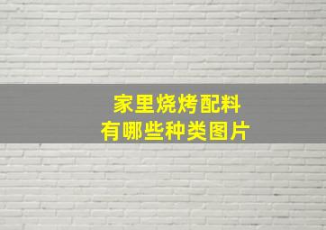 家里烧烤配料有哪些种类图片