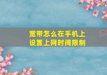 宽带怎么在手机上设置上网时间限制