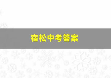 宿松中考答案