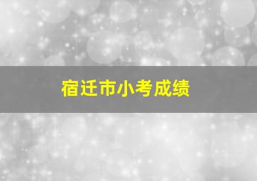 宿迁市小考成绩