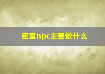 密室npc主要做什么