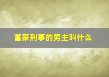 富豪刑事的男主叫什么