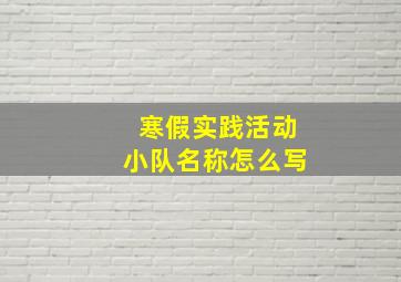 寒假实践活动小队名称怎么写