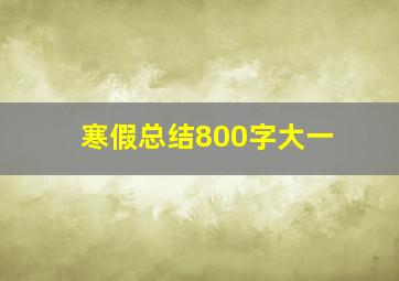 寒假总结800字大一