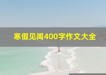 寒假见闻400字作文大全