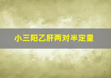 小三阳乙肝两对半定量